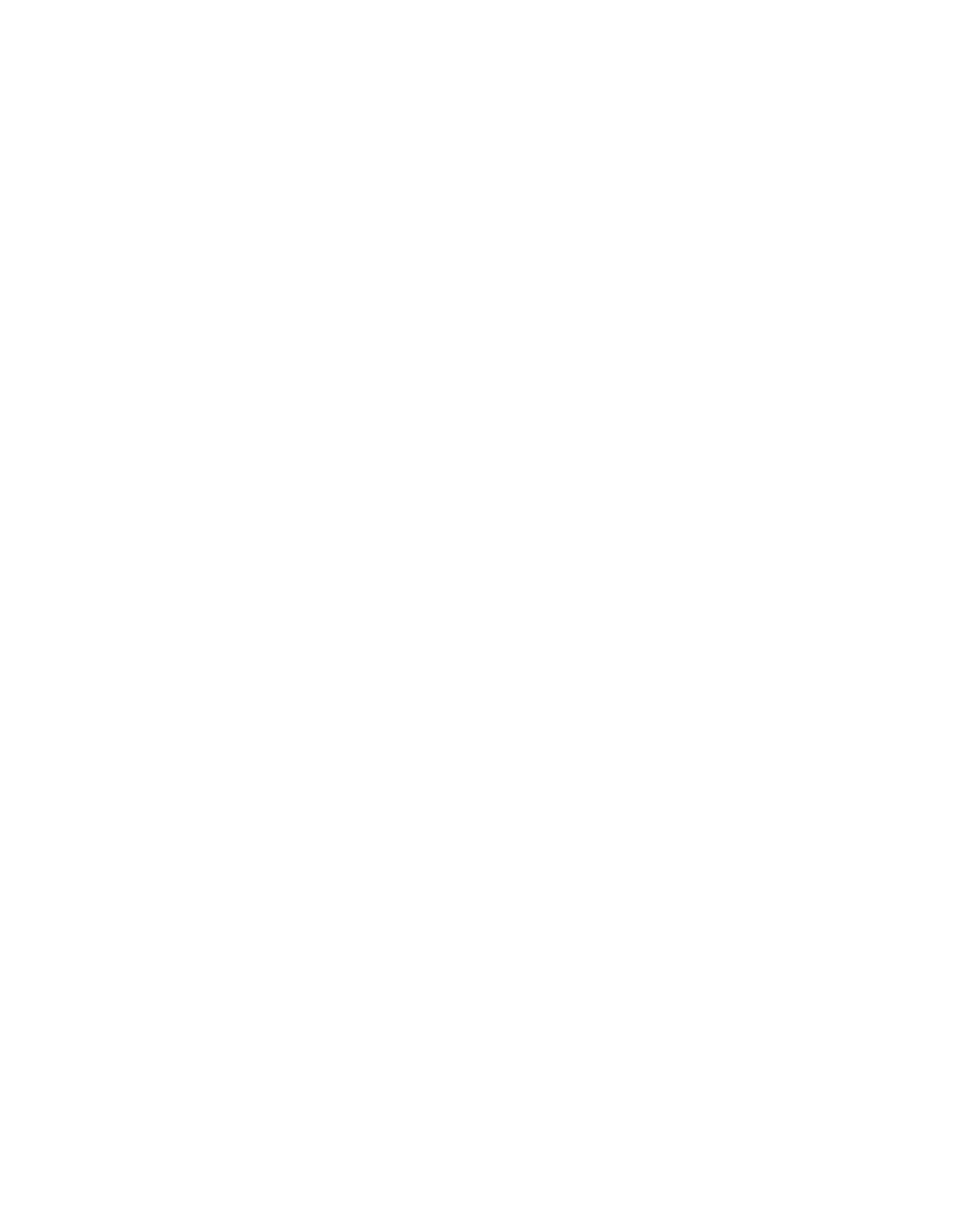 VanInBlack Logo