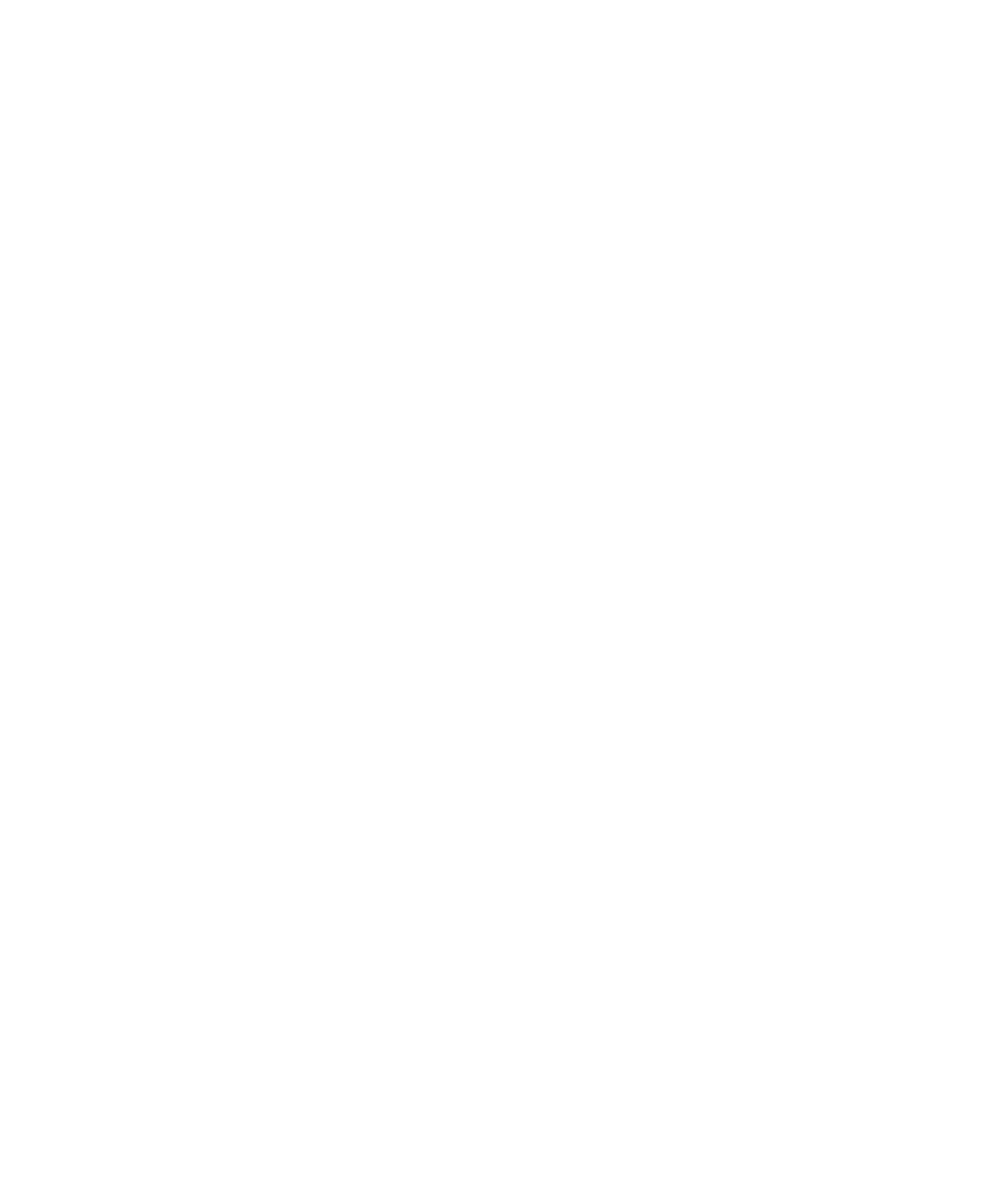 Van In Black